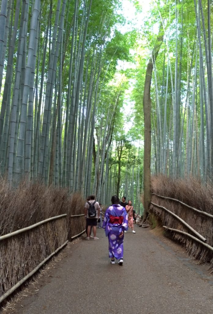 GuidaGiappone guida Giappone Kyoto Arashiyama foresta di bambu 009