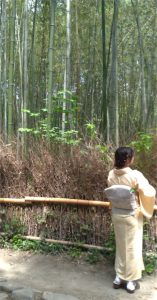 GuidaGiappone guida Giappone Kyoto Arashiyama foresta di bambu 017