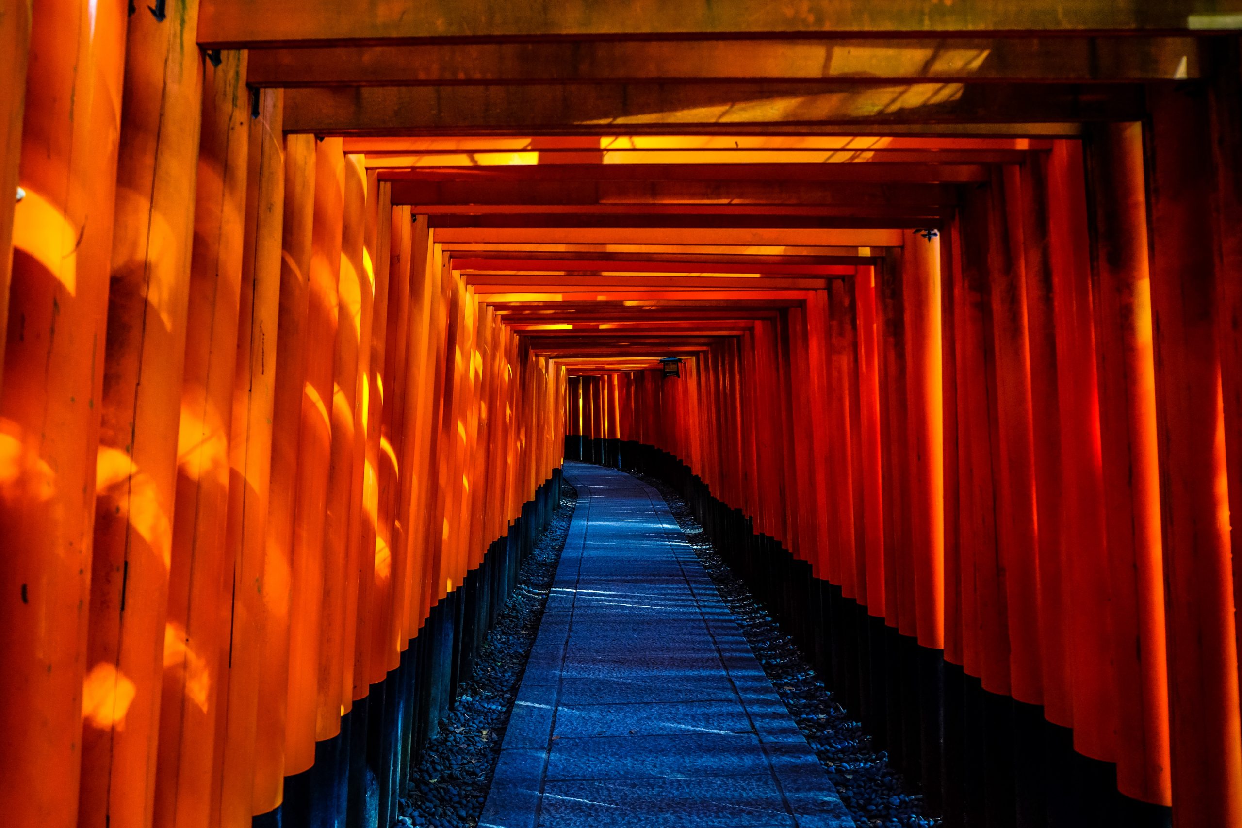 Santuario di Fushimi Inari Kyoto